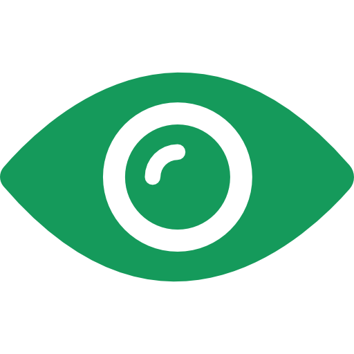 Our Vision icon